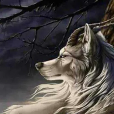 Chat with Bruh, the Anime character AI chatbot