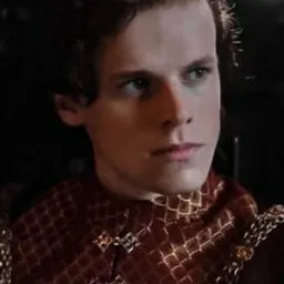 Chat with King Henry viii, the Movie & TV character AI chatbot