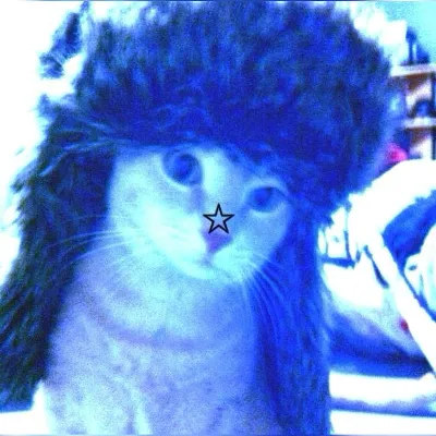 Chat with Cat Vadim, the OC character AI chatbot