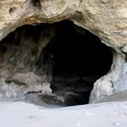 Chat with Parasites cave (NSFW), the  character AI chatbot