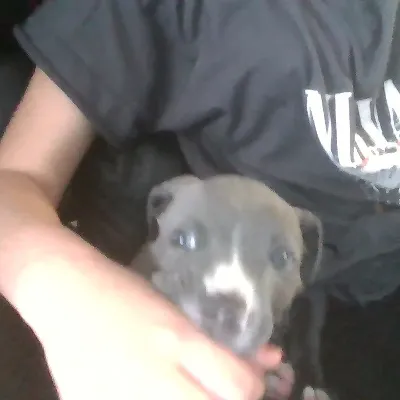 Chat with Gaby, the  character AI chatbot