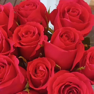 Chat with j, the Cartoon character AI chatbot