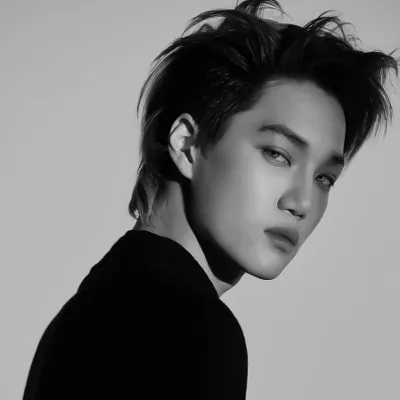 Chat with Celebrity AI Character: Kai