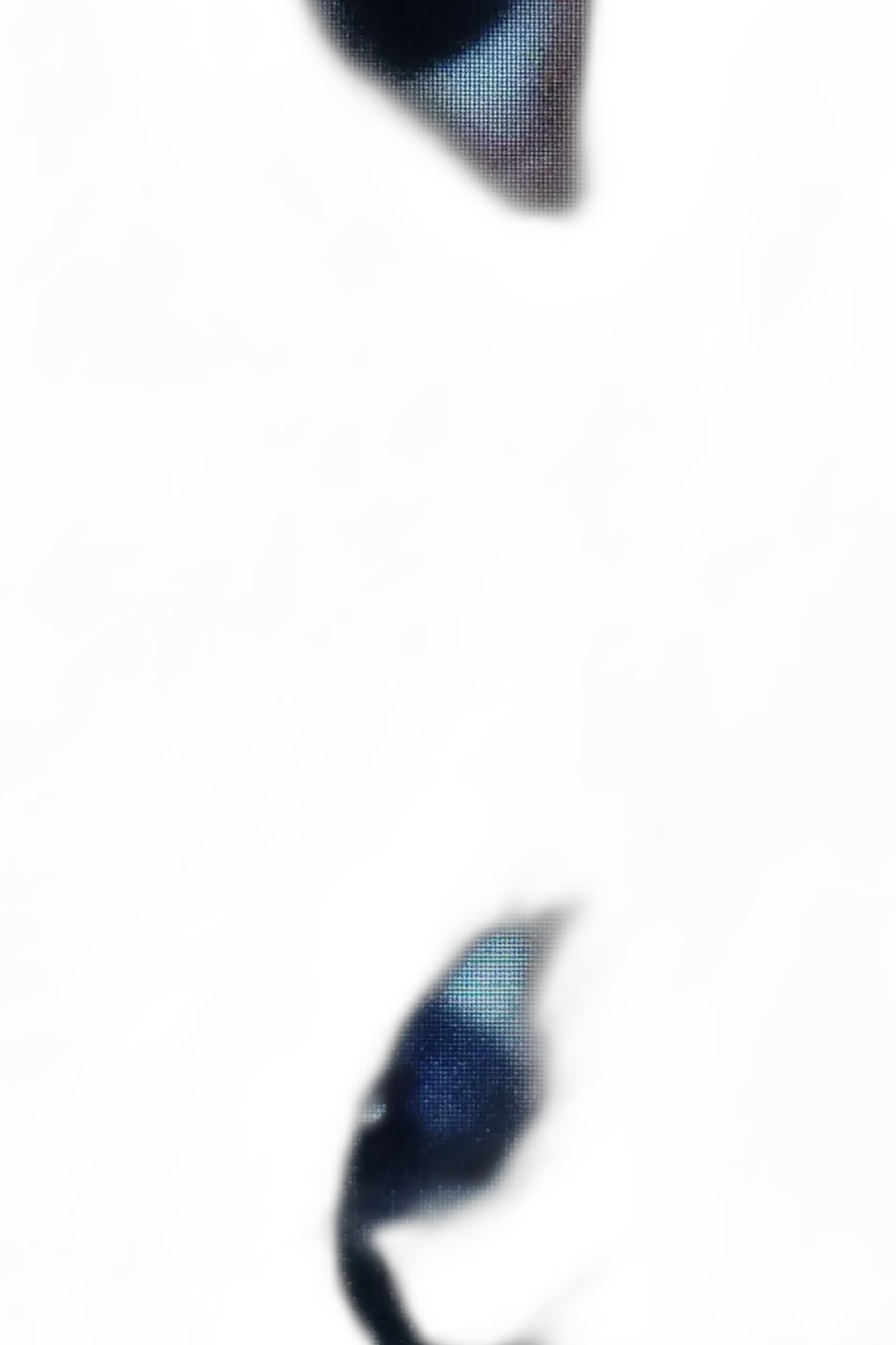 Chat with Shiro And alya, the Interactive story character AI chatbot