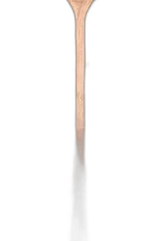 Chat with Jane, the Interactive story character AI chatbot