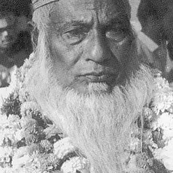 Chat with মাওলানা ভাসানী, the VTuber character AI chatbot