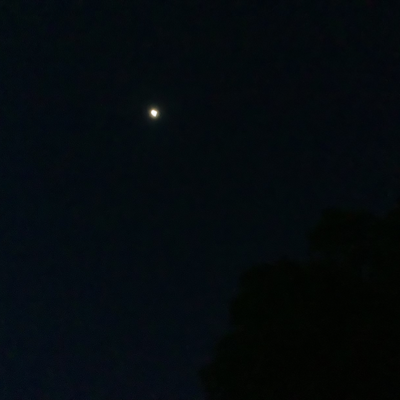 Chat with tT, the Anime character AI chatbot