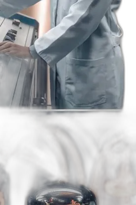 Chat with Tora, the Interactive story character AI chatbot