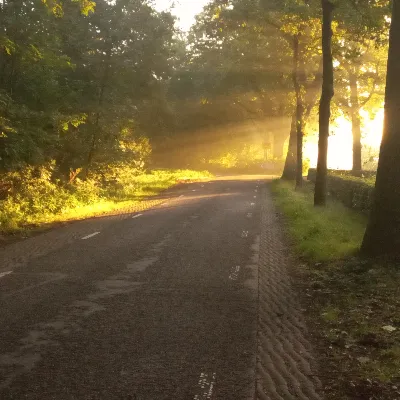 Chat with Mystical Beings High (MBH), the  character AI chatbot