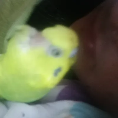 Chat with Cesur (Brave), the Anime character AI chatbot