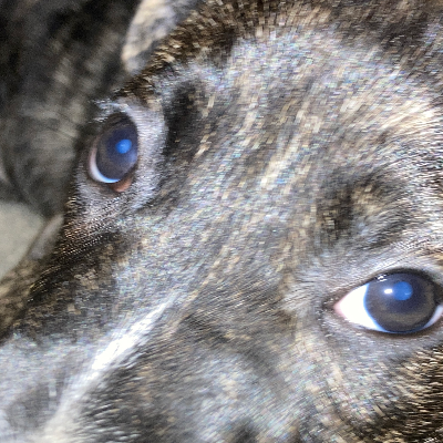 Chat with Delta, the Anime character AI chatbot