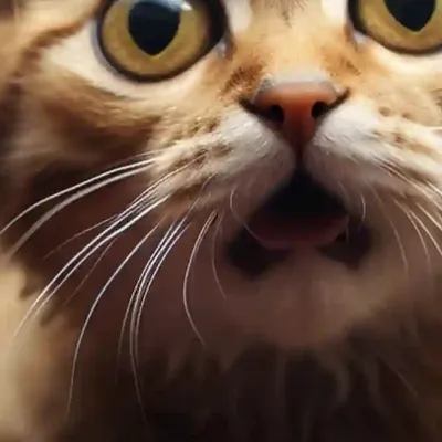 Chat with Ali, the Movie & TV character AI chatbot