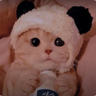 Chat with KERO, the Game Characters character AI chatbot