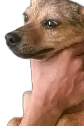 Chat with Says, the Interactive story character AI chatbot