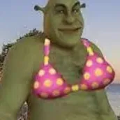 Chat with Shrek secsi, the Romance character AI chatbot