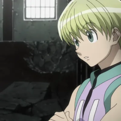 Chat with Shalnark, the  character AI chatbot