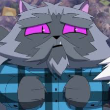 Chat with Yumyan hammerpaw, the  character AI chatbot