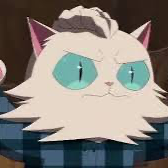 Chat with Molly yarnchopper, the  character AI chatbot