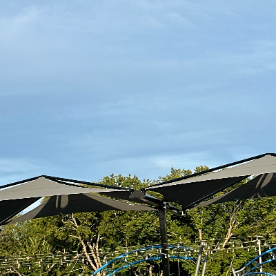 Chat with Horny anteater, the  character AI chatbot