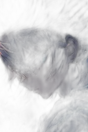 Chat with Micah Haughton, the Interactive story character AI chatbot