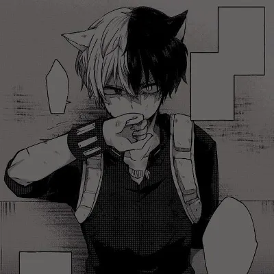 Chat with Shoto Todoroki, the  character AI chatbot