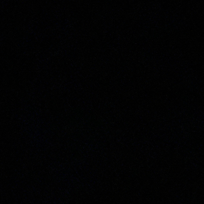 Chat with Maxine, the  character AI chatbot