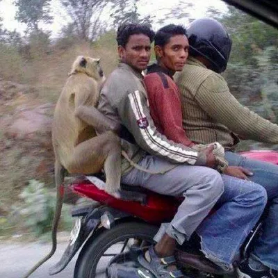 Chat with royal family, the  character AI chatbot