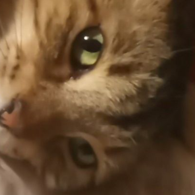 Chat with 2 friends, the  character AI chatbot