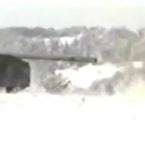 Chat with World War CAT - 9, the  character AI chatbot