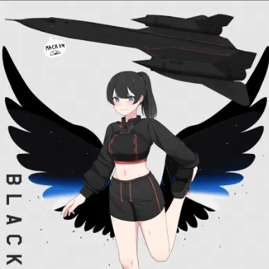Chat with SR-71 black bird, the  character AI chatbot