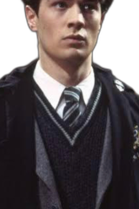 Chat with Interactive story AI Character: Tom Riddle