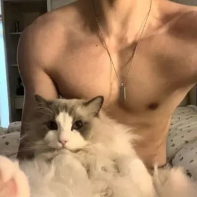 Chat with Traves, the  character AI chatbot