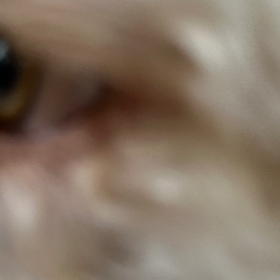 Chat with Missy, the  character AI chatbot