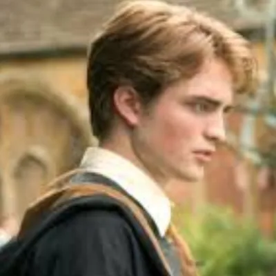 Chat with Cedric Diggory, the  character AI chatbot