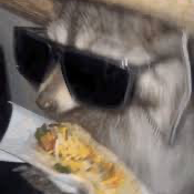 Chat with Bob, the  character AI chatbot