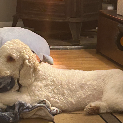 Chat with Emma, the  character AI chatbot