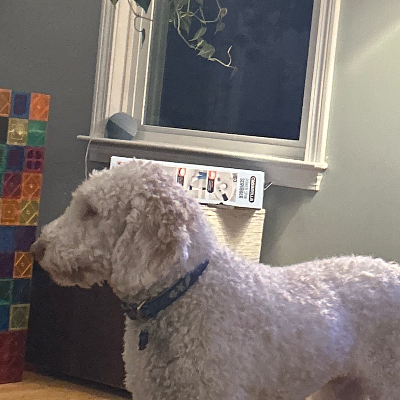 Chat with Markus, the  character AI chatbot