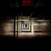 Chat with Alpha Breeding Facility, the RPG character AI chatbot