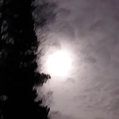 Chat with Captain Churchill, the  character AI chatbot