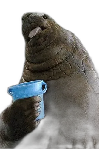 Chat with sir walrus I, the  character AI chatbot