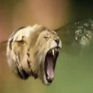 Chat with Kaiju girls defeated, the Anime character AI chatbot