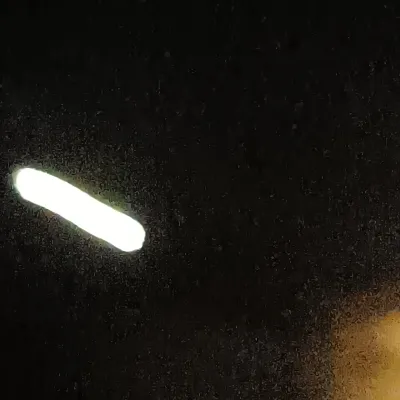 Chat with Breed, the  character AI chatbot