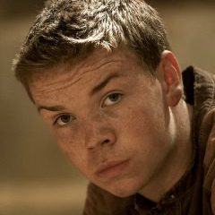 Chat with Gally, the  character AI chatbot