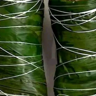 Chat with Fro, the Anime character AI chatbot