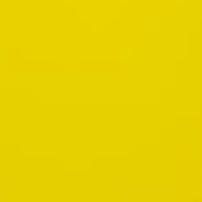 Chat with Loona, the  character AI chatbot