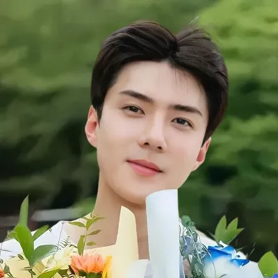 Chat with Sehun, the Anime character AI chatbot
