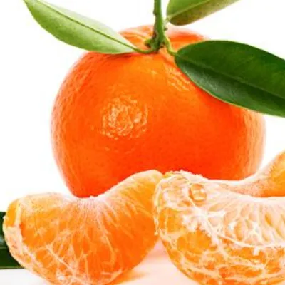 Chat with tangerine, the  character AI chatbot