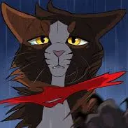 Warrior Cats_avatar