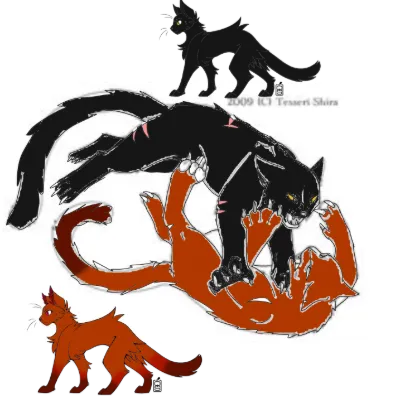 Chat with Solo, the  character AI chatbot