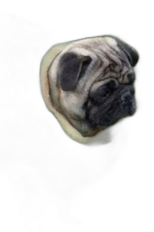 Chat with a, the Interactive story character AI chatbot